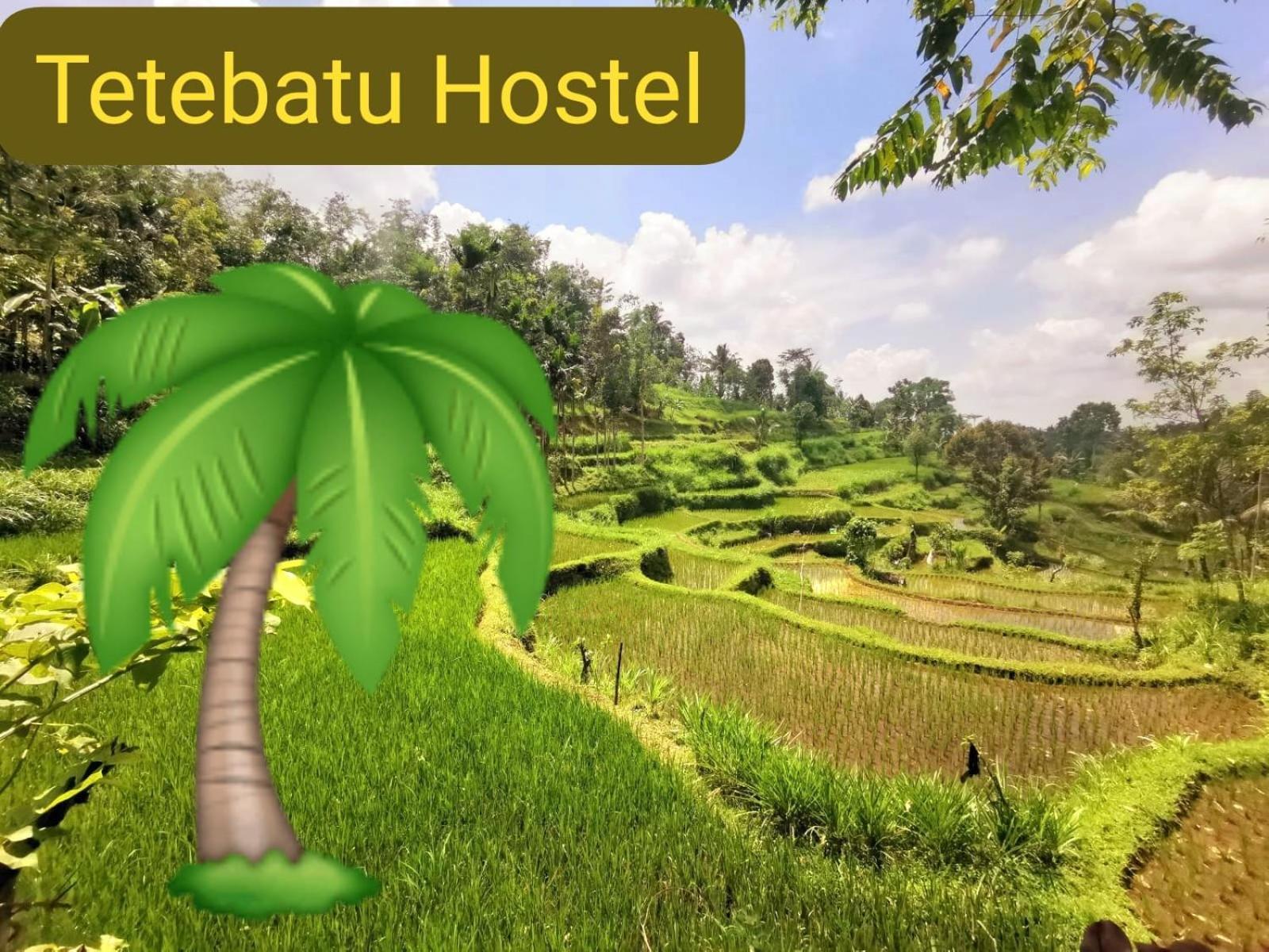 Tetebatu Hostel מראה חיצוני תמונה